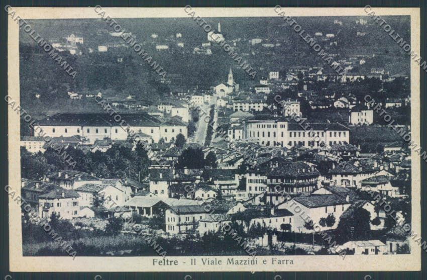 Belluno Feltre cartolina LQ9306 – fronte