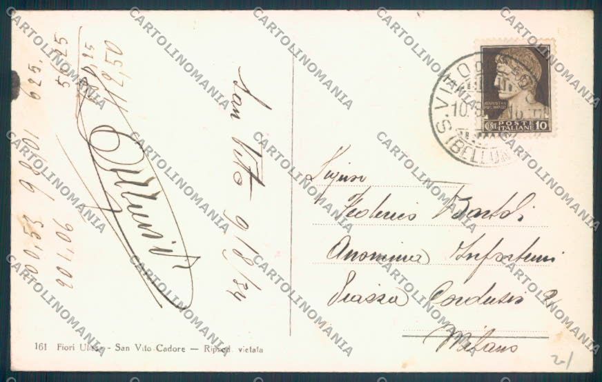 Belluno San Vito di Cadore Barca cartolina LQ9426 – retro