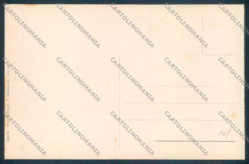 Belluno Auronzo di Cadore cartolina LQ9487 – retro