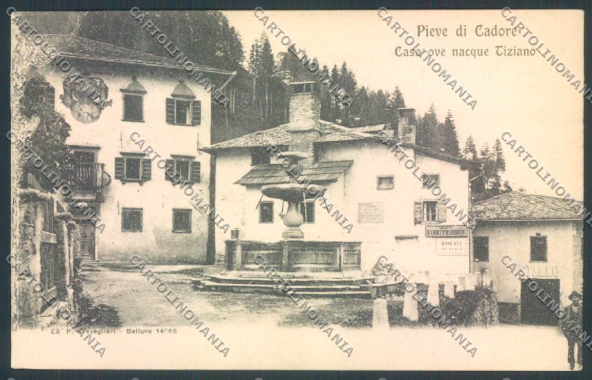 Belluno Pieve di Cadore Tiziano cartolina LQ9512 – fronte