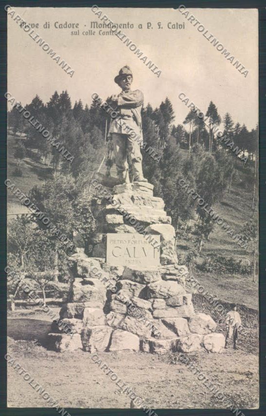 Belluno Pieve di Cadore cartolina LQ9521 – fronte