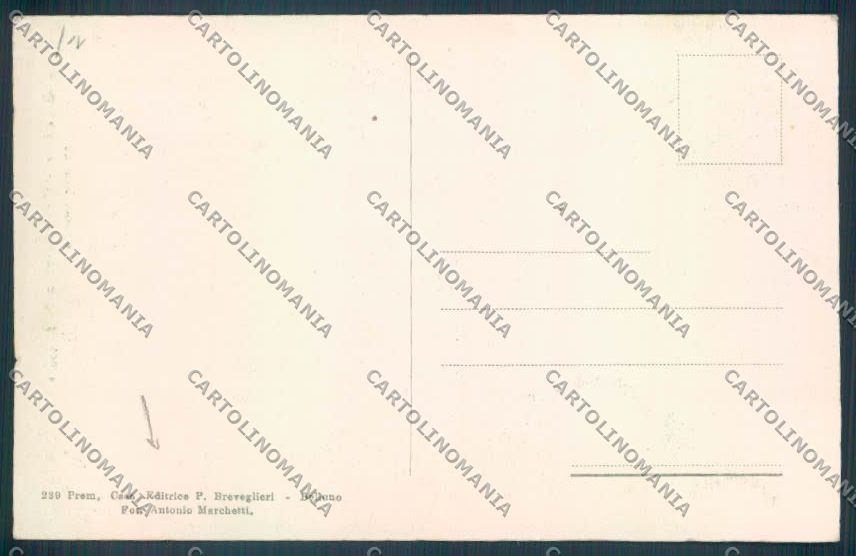 Belluno Pieve di Cadore cartolina LQ9521 – retro
