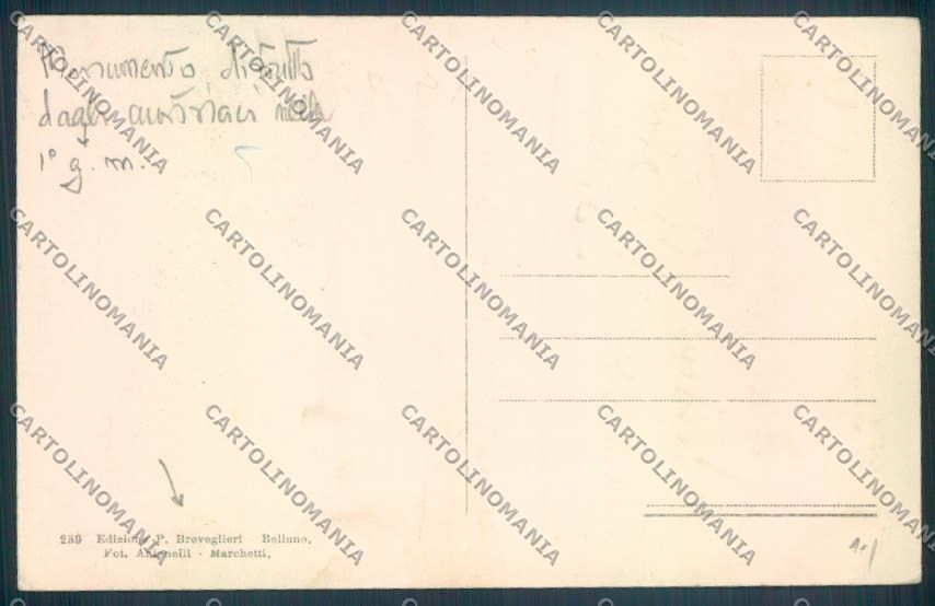 Belluno Pieve di Cadore cartolina LQ9522 – retro