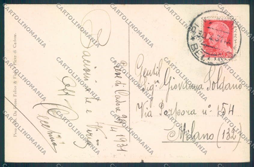 Belluno Pieve di Cadore cartolina LQ9524 – retro