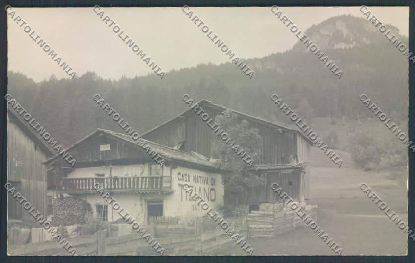 Belluno Pieve di Cadore Tiziano Foto cartolina LQ9528 – fronte
