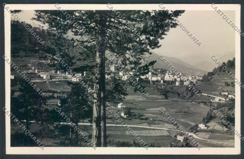 Belluno Pieve di Cadore Foto cartolina LQ9529 – fronte