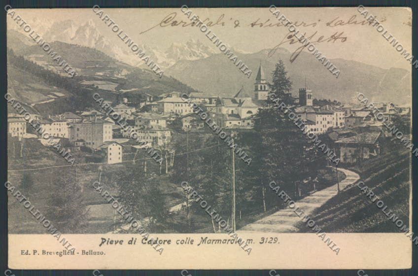 Belluno Pieve di Cadore cartolina LQ9534 – fronte