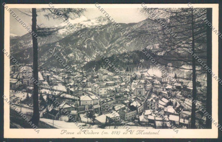 Belluno Pieve di Cadore Nevicata cartolina LQ9539 – fronte