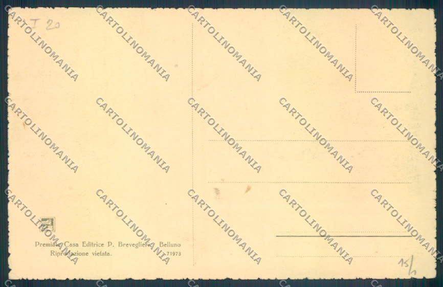 Belluno Pieve di Cadore cartolina LQ9543 – retro