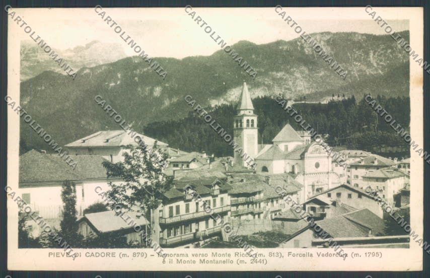 Belluno Pieve di Cadore cartolina LQ9544 – fronte