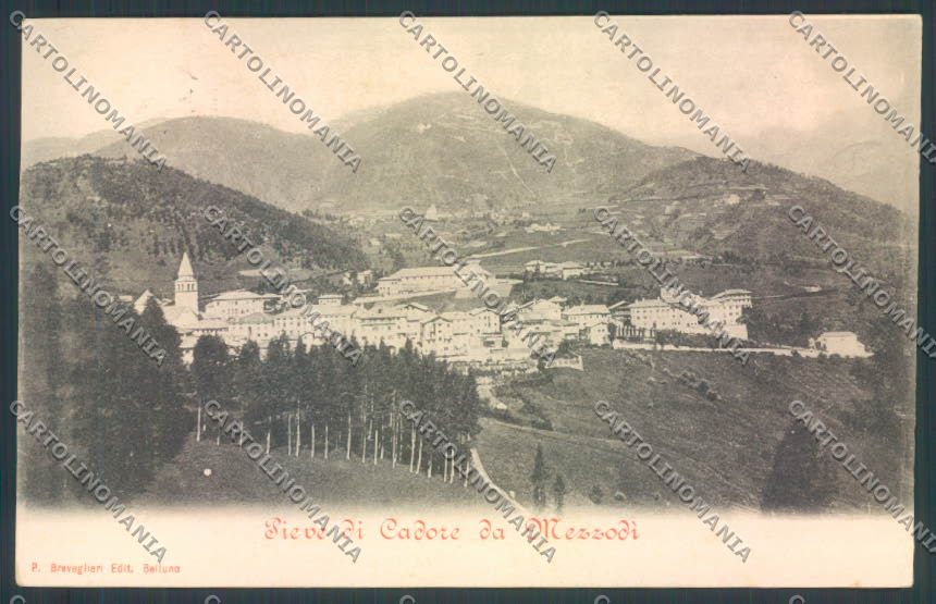 Belluno Pieve di Cadore cartolina LQ9547 – fronte