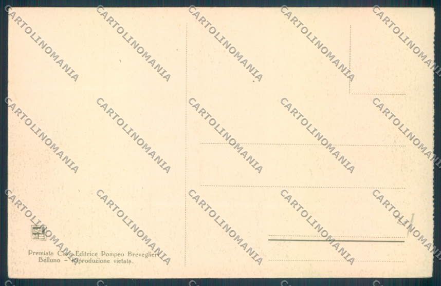 Belluno Pieve di Cadore cartolina LQ9554 – retro