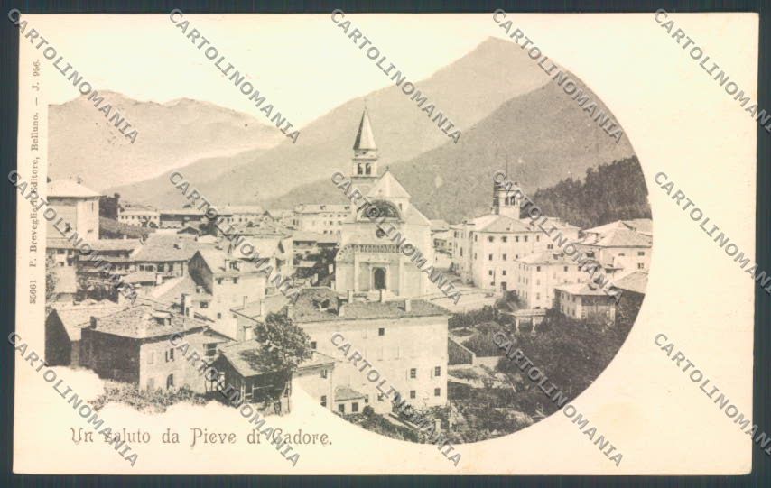 Belluno Pieve di Cadore cartolina LQ9561 – fronte