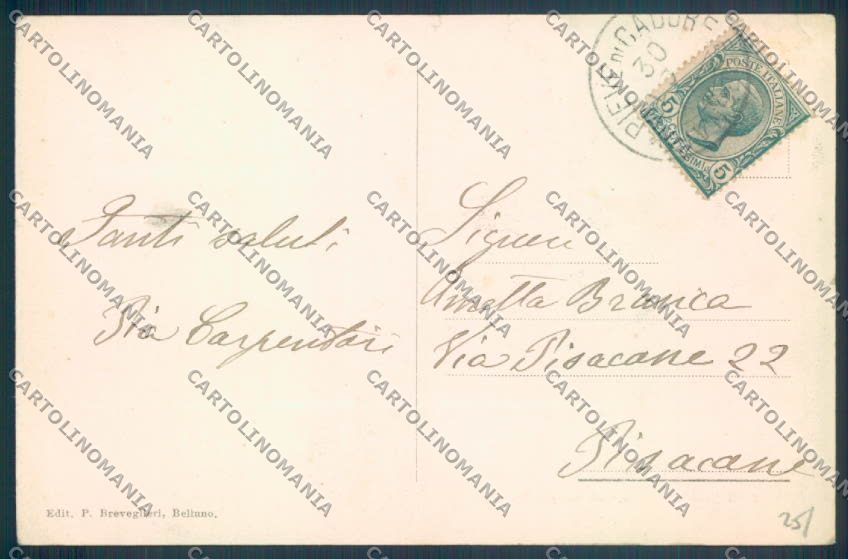 Belluno Pieve di Cadore Tiziano PIEGHINA cartolina LQ9567 – retro