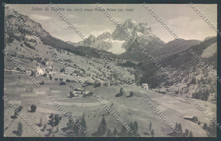 Belluno Selva di Cadore cartolina LQ9571 – fronte