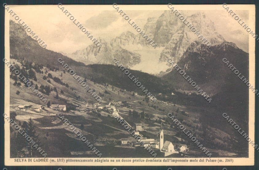 Belluno Selva di Cadore cartolina LQ9574 – fronte
