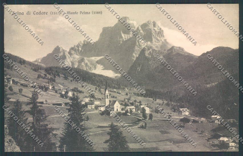 Belluno Selva di Cadore cartolina LQ9575 – fronte