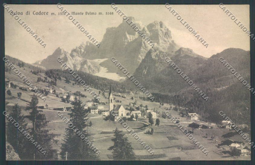 Belluno Selva di Cadore cartolina LQ9578 – fronte