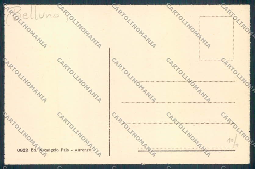 Belluno Santo Stefano di Comelico cartolina LQ9615 – retro
