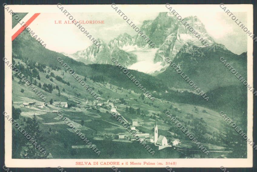 Belluno Selva di Cadore cartolina LQ9623 – fronte