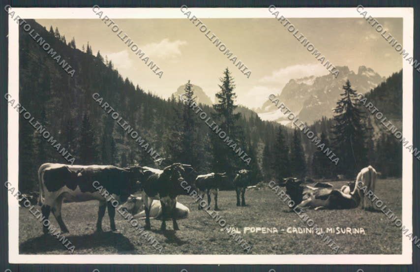 Belluno Val Popena Cadini di Misurina Foto cartolina LQ9671 – fronte