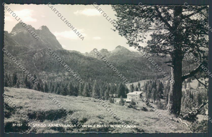 Belluno Passo di Valparola Foto cartolina LQ9688 – fronte