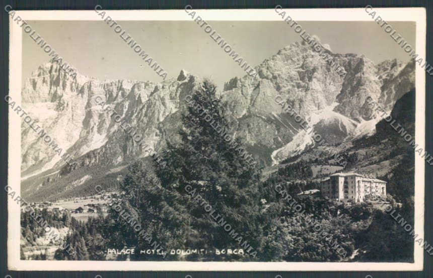 Belluno Borca di Cadore Foto cartolina LQ9694 – fronte