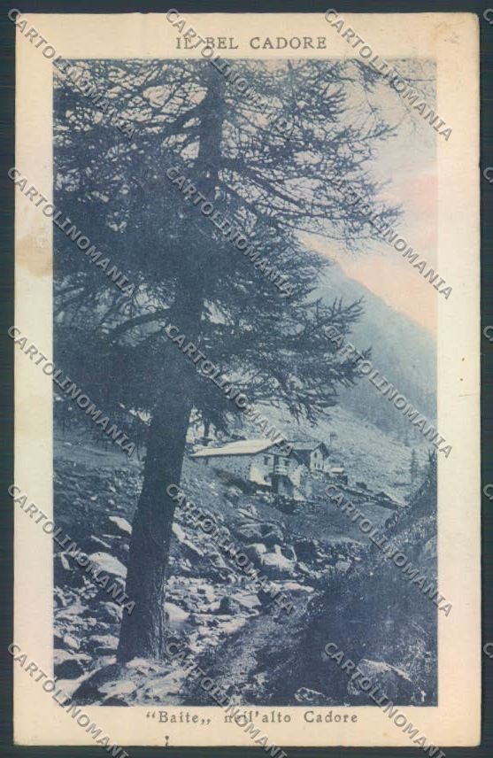 Belluno Cadore cartolina LQ9725 – fronte