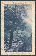 Belluno Cadore cartolina LQ9725 – fronte