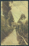 Belluno Cadore Carducci cartolina LQ9732 – fronte