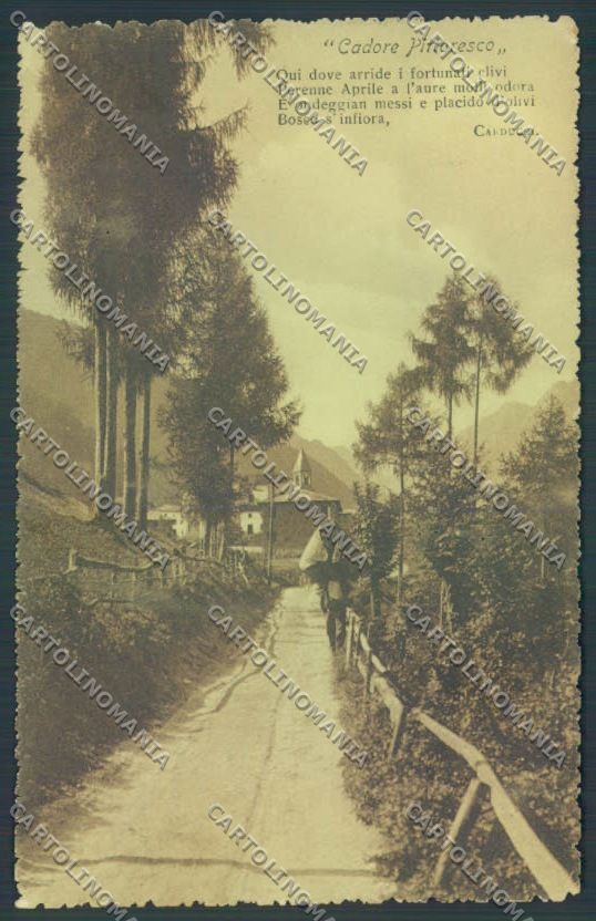 Belluno Cadore Carducci cartolina LQ9732 – fronte