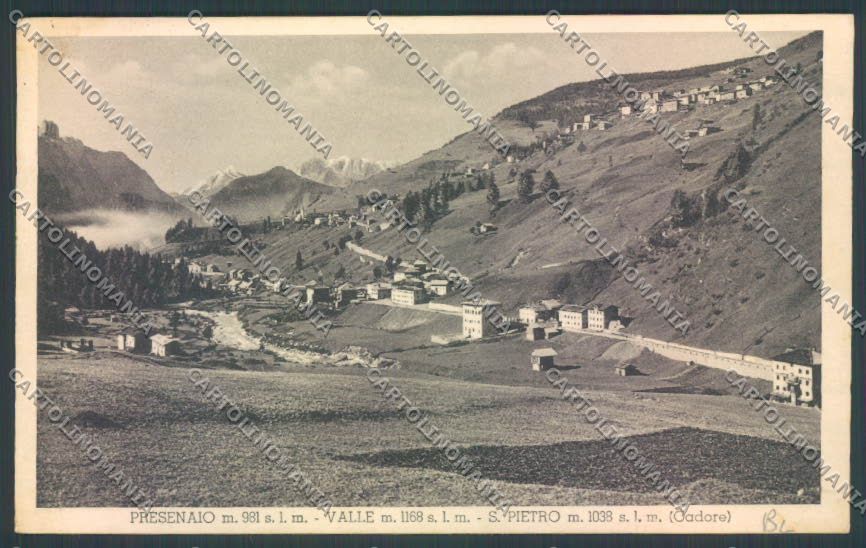 Belluno San Pietro Cadore Presenaio cartolina LQ9742 – fronte