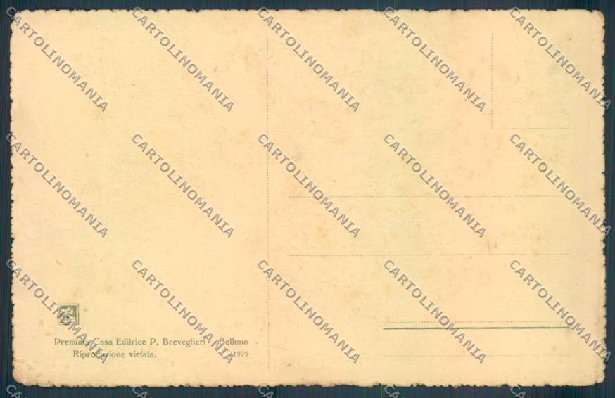 Belluno Cadore Nevicata Sci D'Annunzio STRAPPINO cartolina LQ9751 – retro