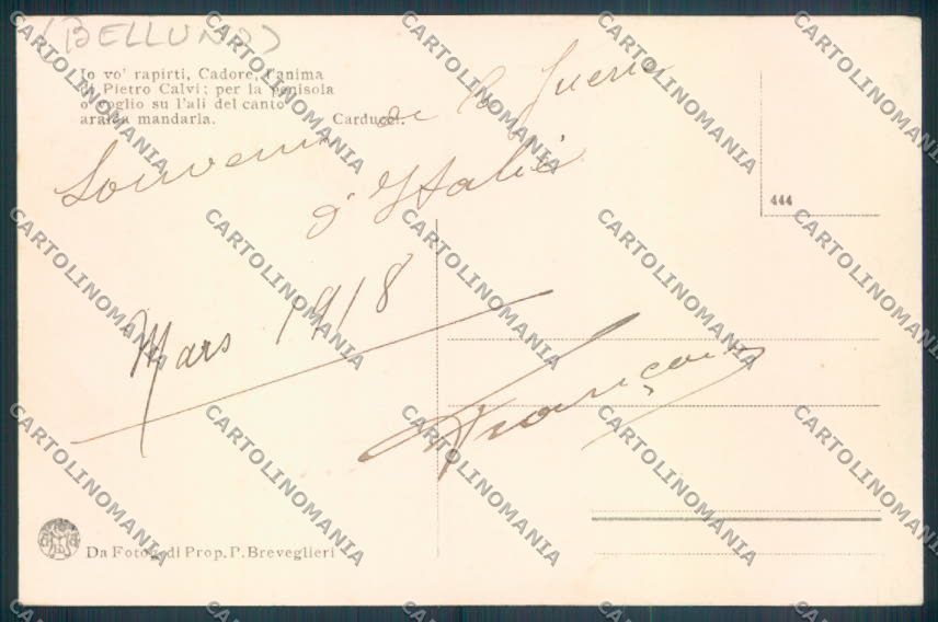 Belluno Falcade cartolina LQ9760 – retro