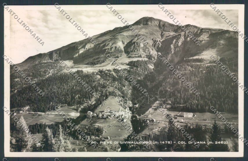 Belluno Pieve di Livinallongo Foto cartolina LQ9812 – fronte