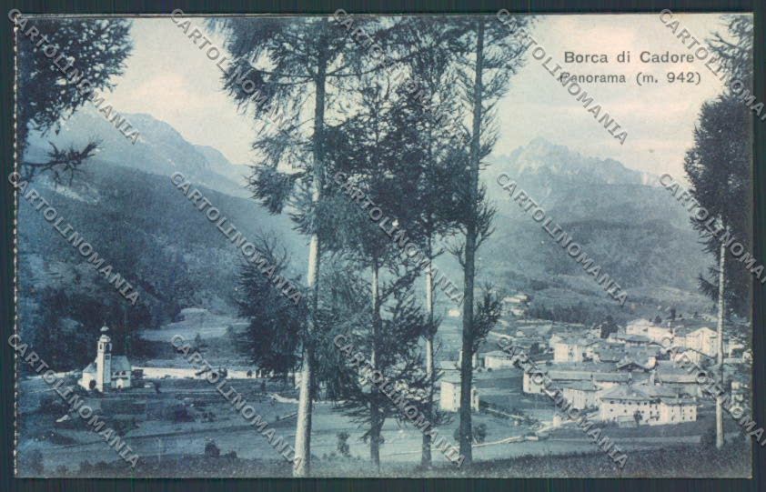 Belluno Borca di Cadore PIEGHINA cartolina LQ9853 – fronte