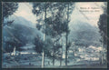 Belluno Borca di Cadore PIEGHINA cartolina LQ9853 – fronte