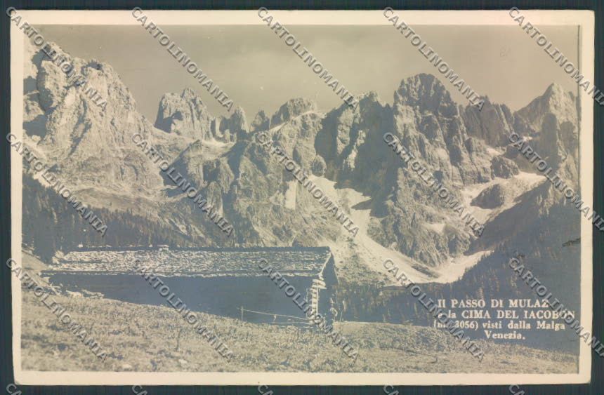 Belluno Passo di Mulaz cartolina LQ9881 – fronte