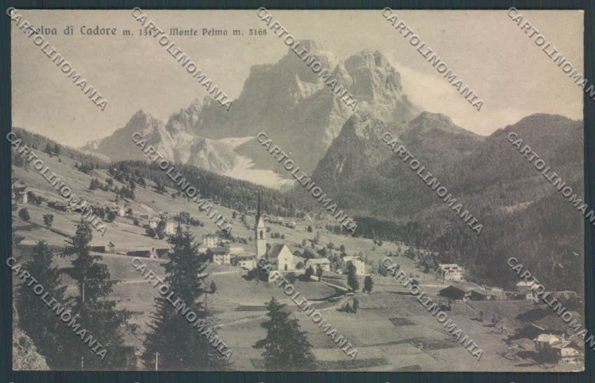 Belluno Selva di Cadore cartolina LQ9892 – fronte