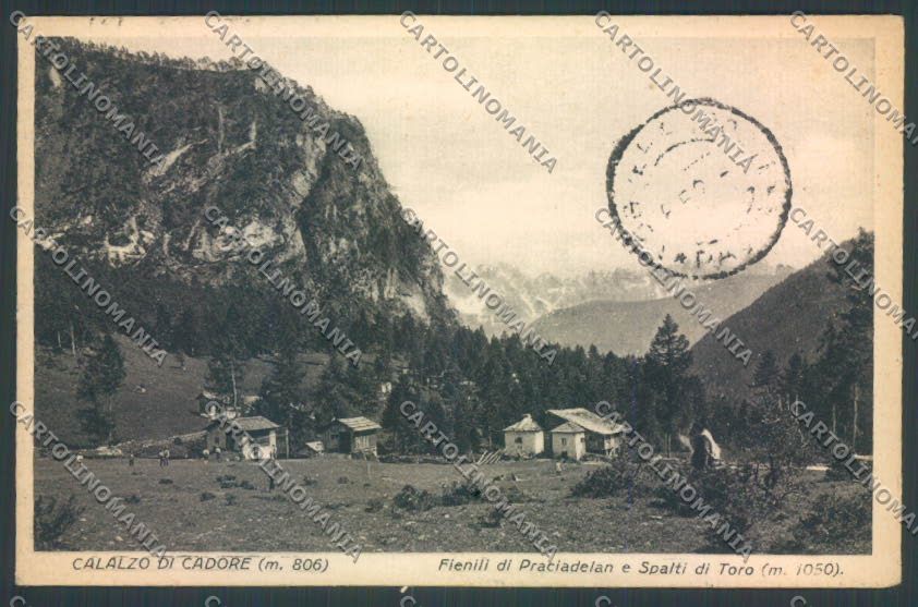 Belluno Calalzo cartolina LQ9917 – fronte