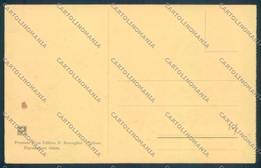 Belluno Santo Stefano di Cadore Comelico cartolina LQ9938 – retro