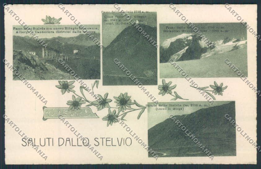 Bolzano Stelvio Saluti da cartolina MQ0270 – fronte