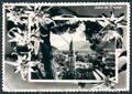 Bolzano Merano foto FG cartolina MQ0350 – fronte