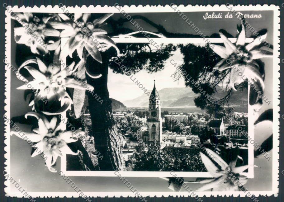 Bolzano Merano foto FG cartolina MQ0350 – fronte