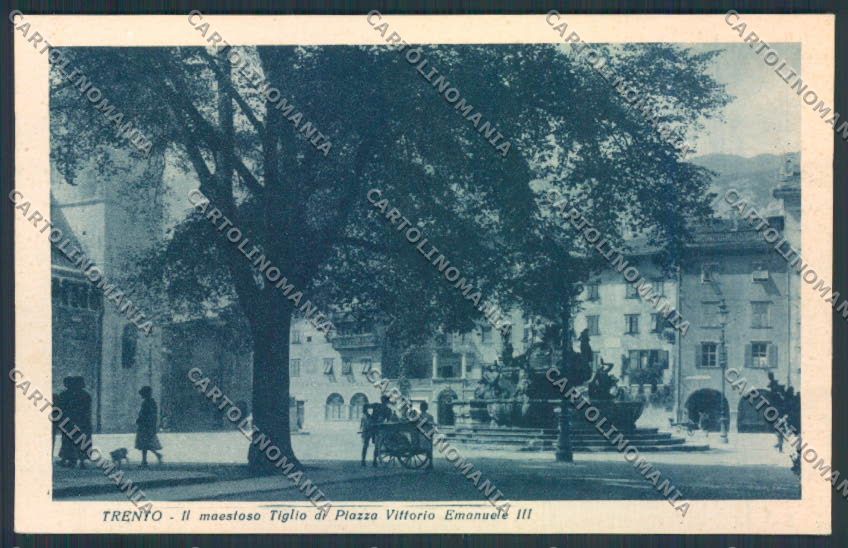 Trento città cartolina MQ0366 – fronte