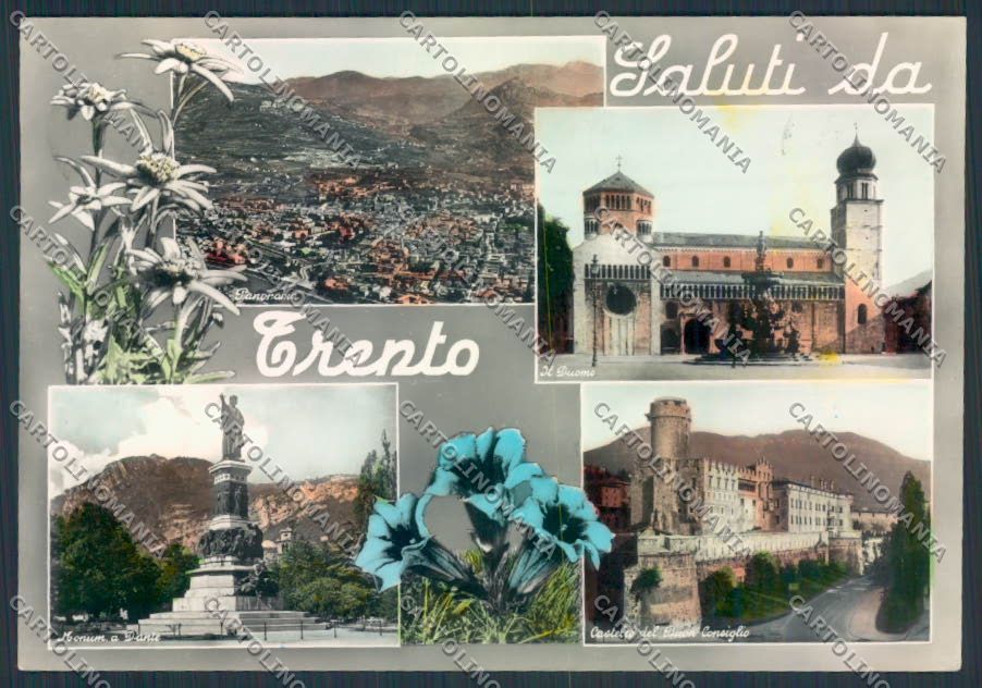 Trento città foto FG cartolina MQ0421 – fronte
