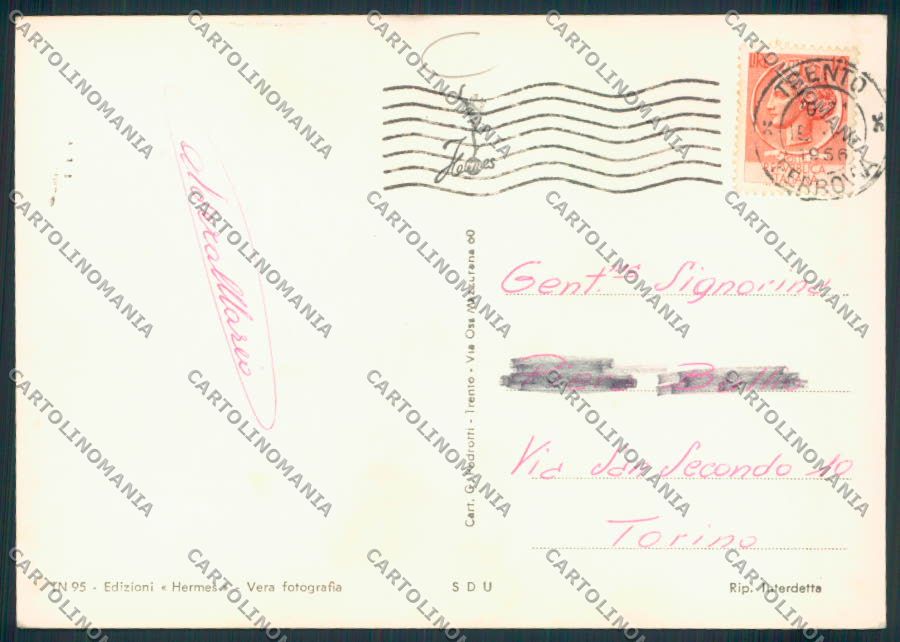 Trento città foto FG cartolina MQ0421 – retro