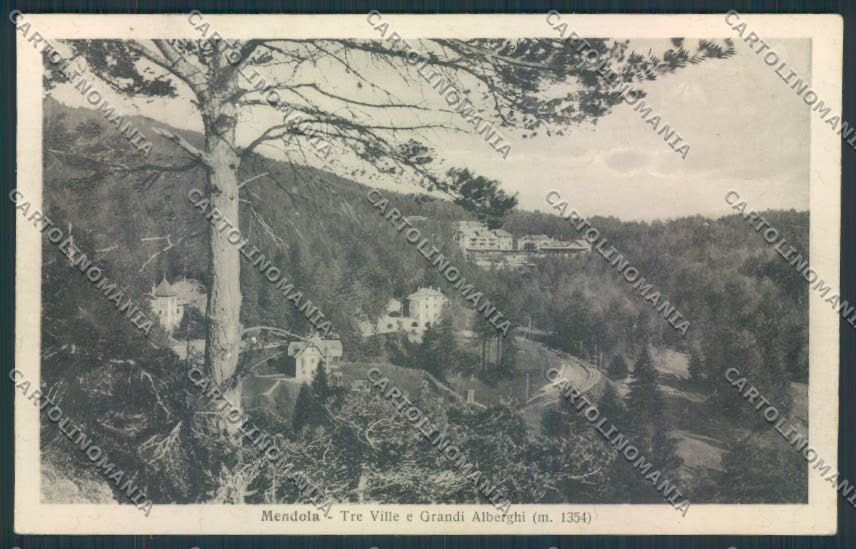 Trento Mendola cartolina MQ0439 – fronte