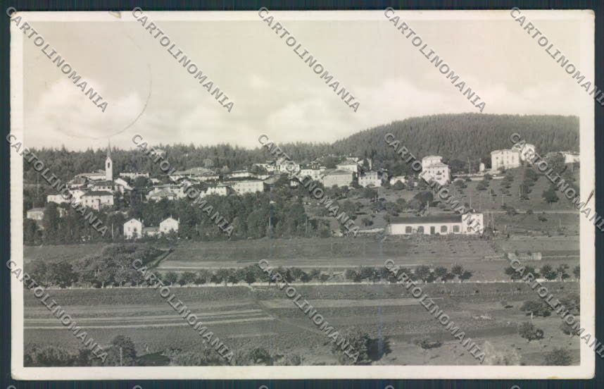 Trento Malosco foto cartolina MQ0501 – fronte