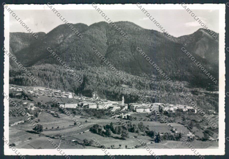 Trento Vervò foto FG cartolina MQ0530 – fronte